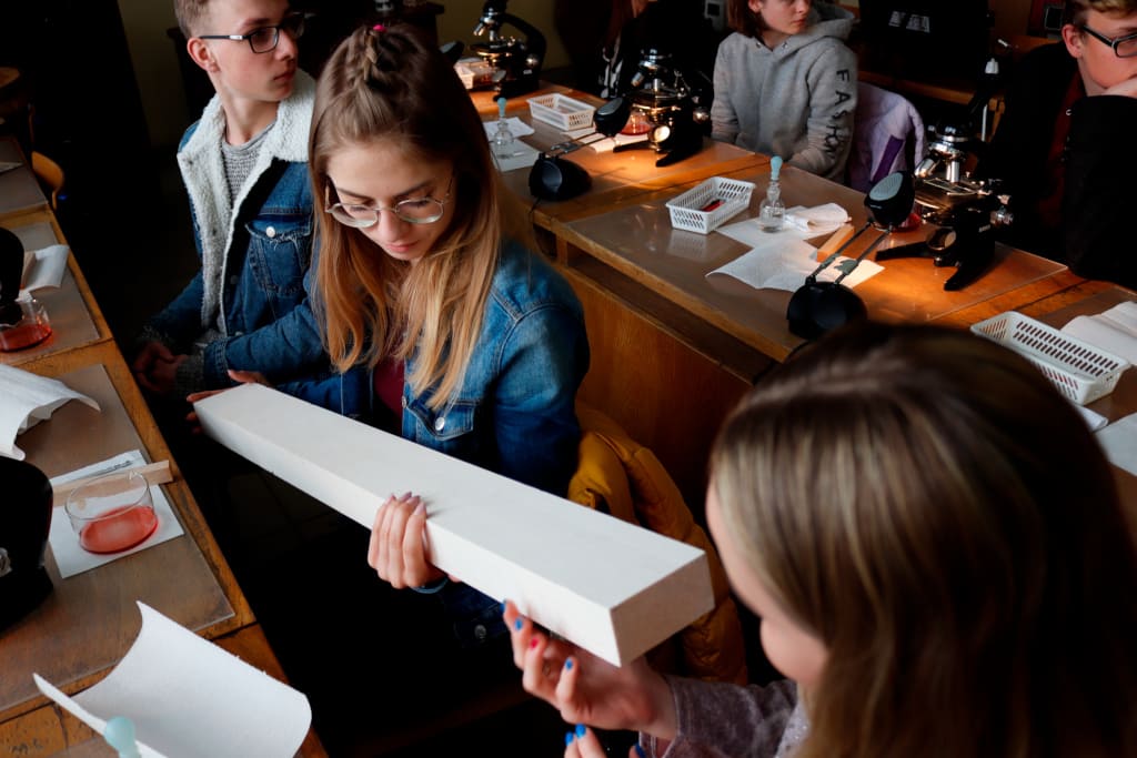 W zajęciach na kierunku technik technologii drewna biorą udział uczniowie z Zespołu Szkół Technicznych im. Hipolita Cegielskiego w Śremie.