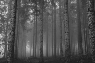 Koniec z FSC w Rosji.