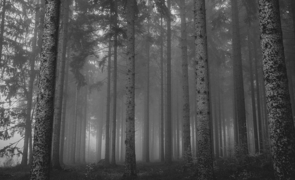 Koniec z FSC w Rosji.