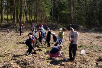 IX edycja „Zielonym do góry”, w ramach której pracownicy Impress Decor Polska sadzili las.