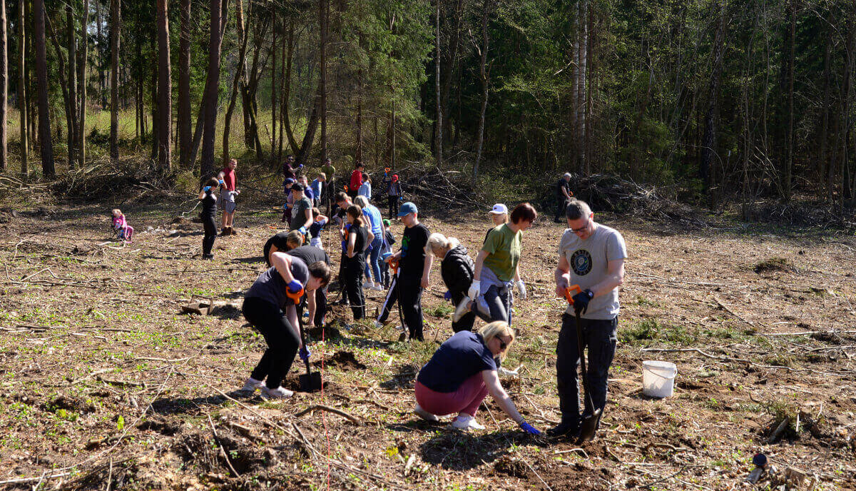 IX edycja „Zielonym do góry”, w ramach której pracownicy Impress Decor Polska sadzili las.