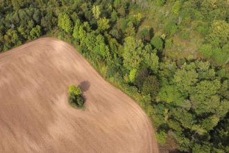 Kolejne Regionalne Dyrekcje Lasów Państwowych w Polsce rezygnują z FSC.