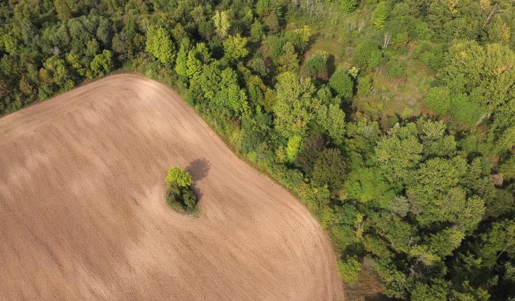 Kolejne Regionalne Dyrekcje Lasów Państwowych w Polsce rezygnują z FSC.