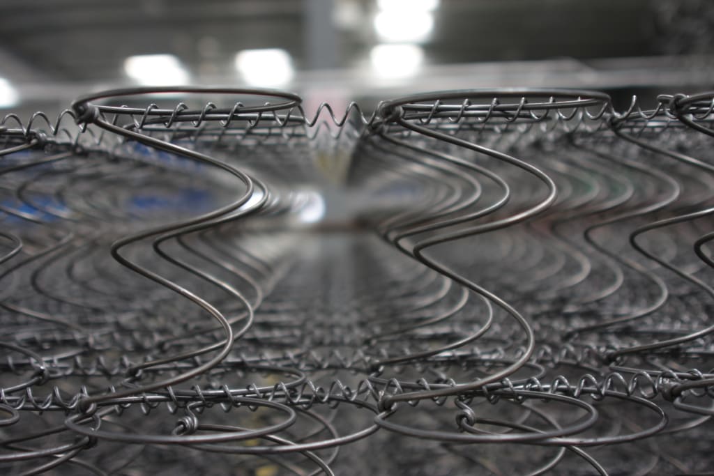 Firma Herkules: formatki bonell