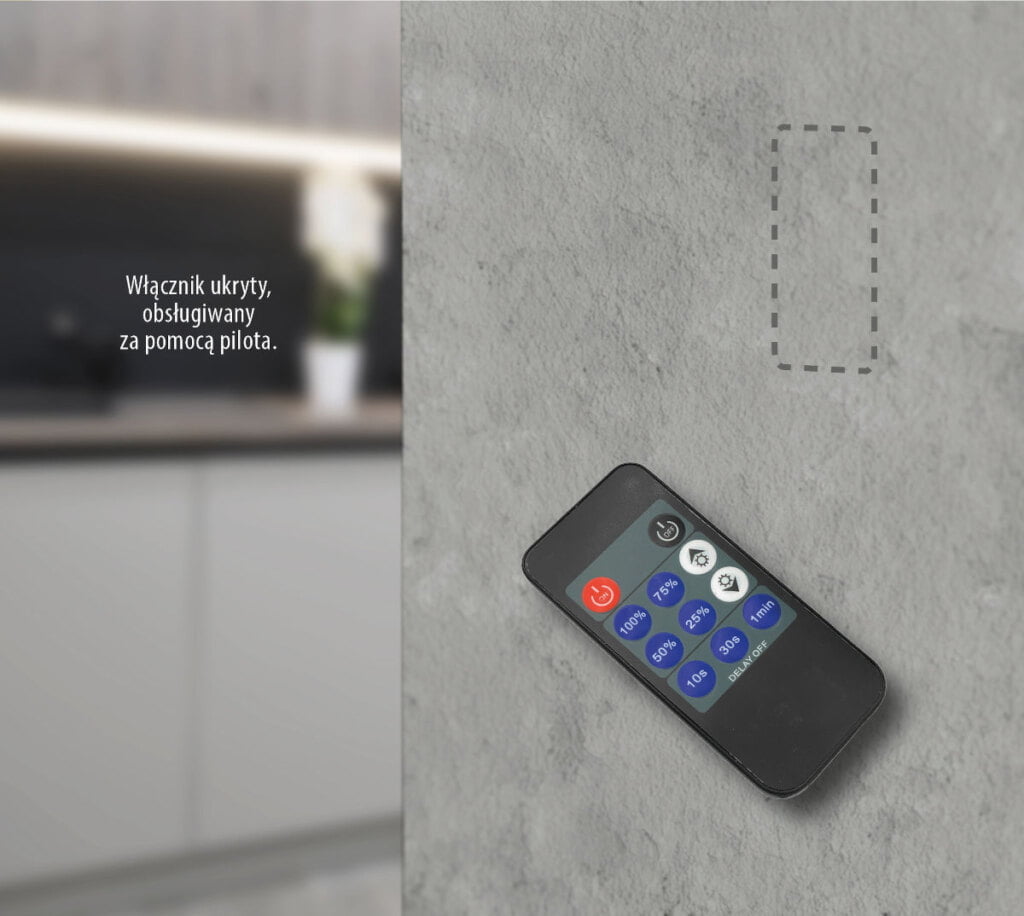 REJS - włącznik W12