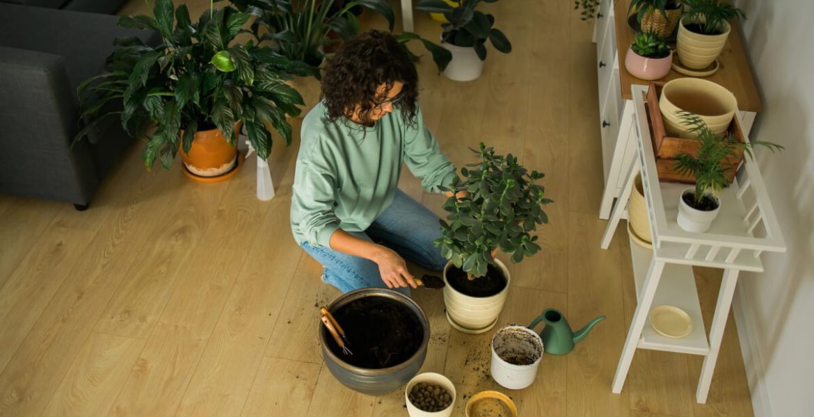Kobieta przesadzająca kwiaty. Jak odświeżyć mieszkanie tanim kosztem?
