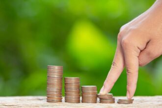 Na co idą pieniądze z Lasów Państwowych - to pytanie zadała Najwyższa Izba Kontroli.