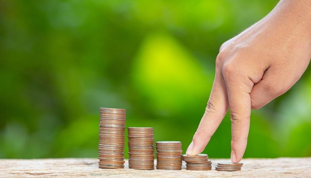 Na co idą pieniądze z Lasów Państwowych - to pytanie zadała Najwyższa Izba Kontroli.