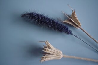 Wprowadzone do kolekcji magazynowej nowe folie meblowe firmy Marfa dopasowane są do płyt znanych producentów tj. Egger, Kronopol i Kronospan.