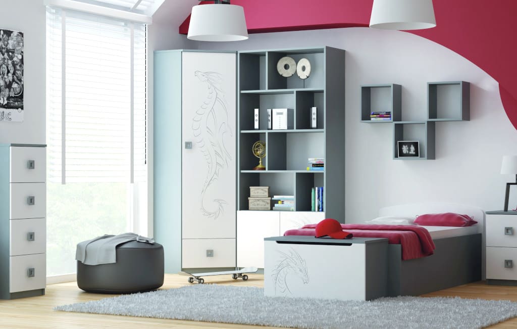 System mebli „Dragons Graphite” marki Baggi Design skierowany jest przede wszystkim do młodzieży, nadaje się też jednak dla użytkowników w innym wieku np. dla małych dzieci i studentów.