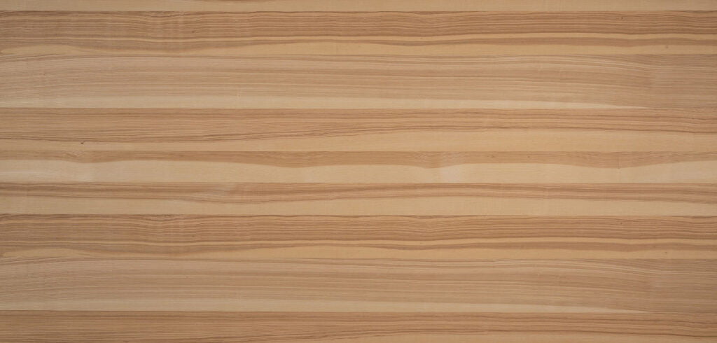 Gaber - Jesion kolorowy