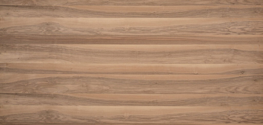 Gaber - Orzech europejski