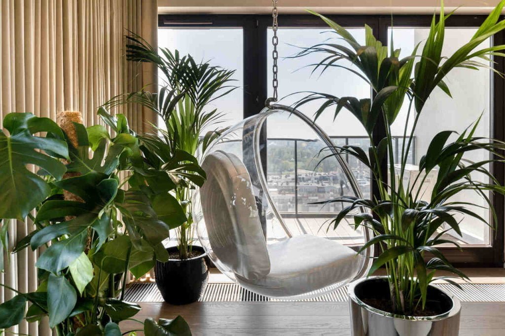 Projekt Monika Staniec.