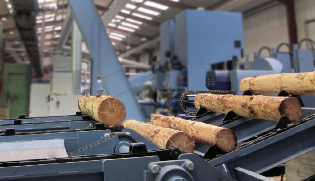 Radomsko to meble. Na zdjęciu: zakład produkcyjny firmy Fameg.