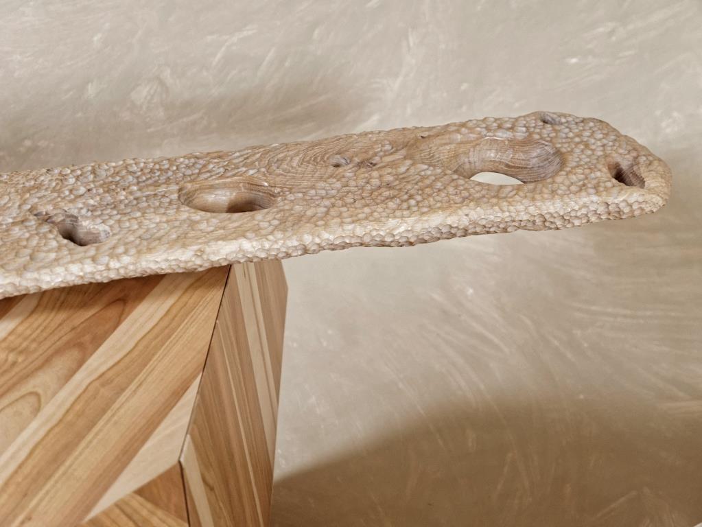 Półka Fossil N.10, 2018, szafka Wood, 2015.