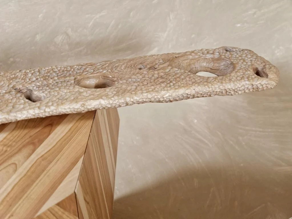 Półka Fossil N.10, 2018, szafka Wood, 2015.