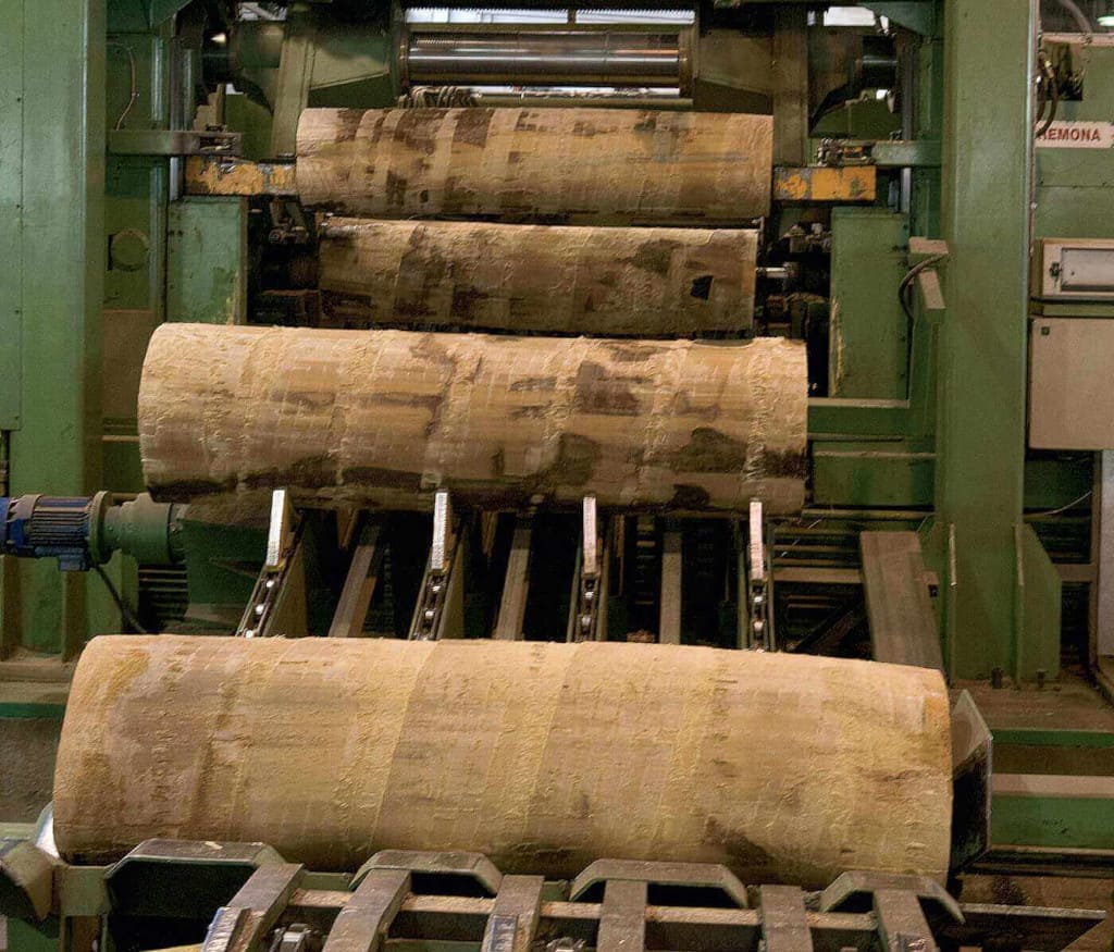 Nowy Styl – zakład produkcji elementów drewnianych, Rzepedź.