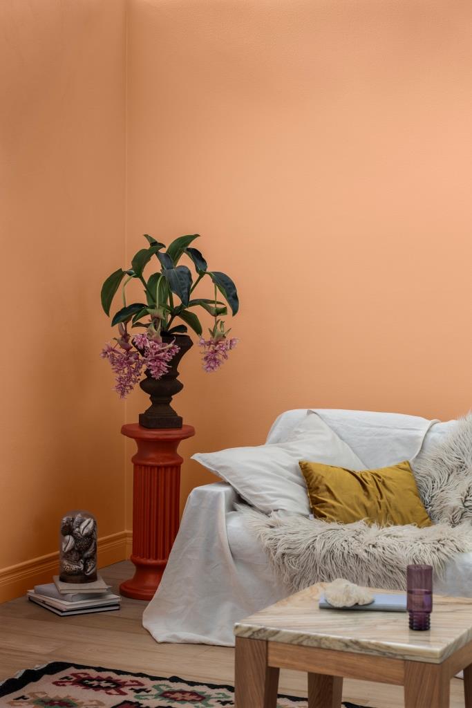 Nude in Nizza - Kolor Roku 2024 marki Tikkurila.