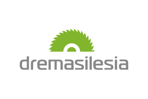 Logo targów DremaSilesia w Katowicach.