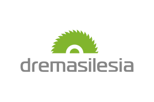 Logo targów DremaSilesia w Katowicach.