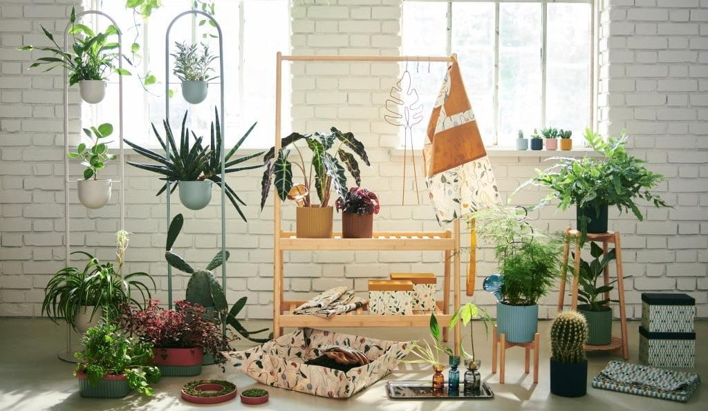 DAKSJUS, czyli nowa, limitowana kolekcja akcesoriów IKEA.