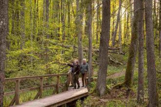 Wszystkie funkcje lasu są równie istotne, o czym należy pamiętać szczególnie 21 marca w Międzynarodowy Dzień Lasów.