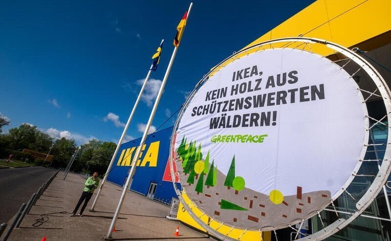 Aktywiści Greenpeace przekazali dziś badania administracji IKEA w Hofheim am Taunus. Na banerze widoczne jest hasło: IKEA, żadnego drewna z lasów wartych ochrony.
