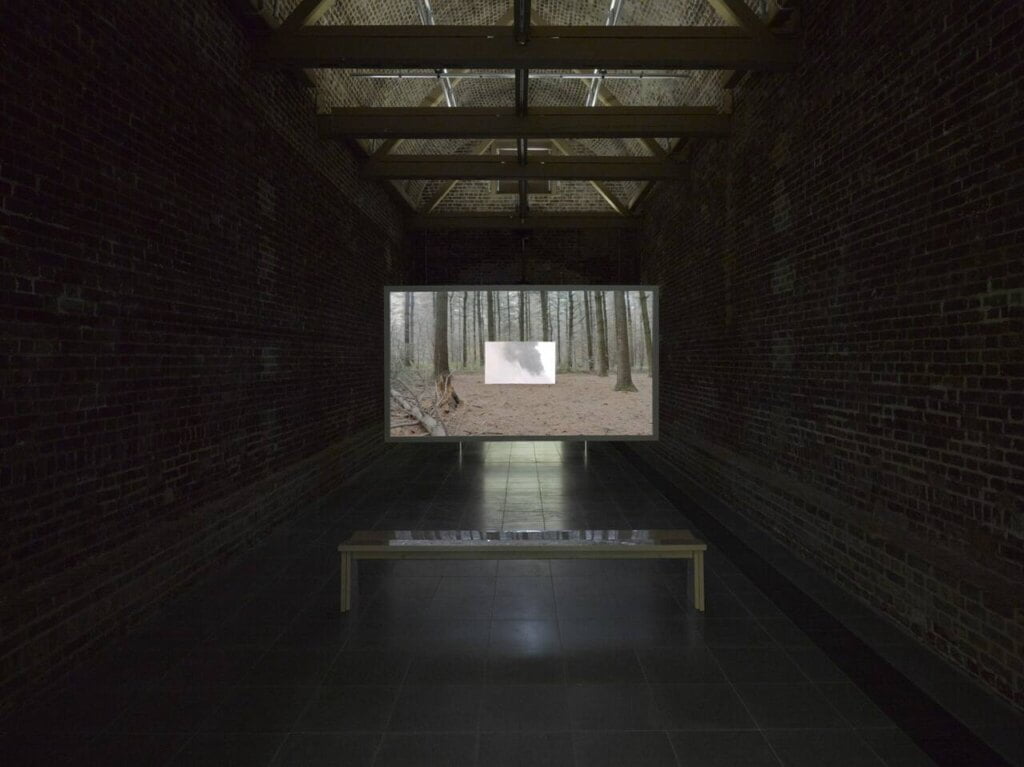 W marcu 2020 r. Serpentine Galleries poświęciły wystawę indywidualną Formafantasma i ich dogłębnemu badaniu zarządzania przemysłem drzewnym. Formafantasma, Cambio (widok instalacji, Serpentine Galleries, 4 marca – 17 maja 2020 r.) Źródło zdjęcia: George Darrell.