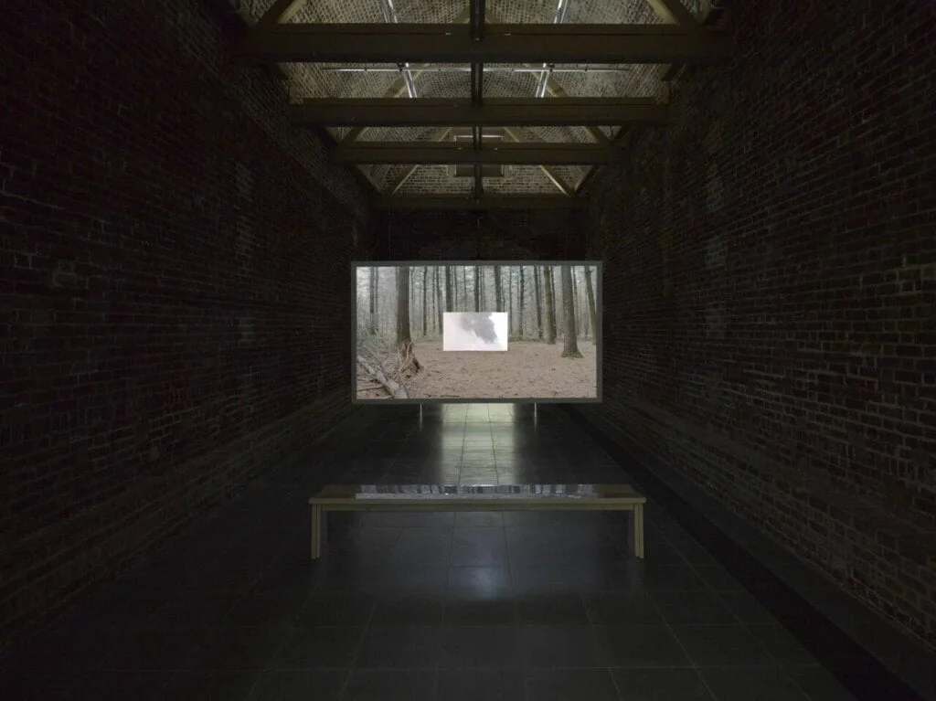 W marcu 2020 r. Serpentine Galleries poświęciły wystawę indywidualną Formafantasma i ich dogłębnemu badaniu zarządzania przemysłem drzewnym. Formafantasma, Cambio (widok instalacji, Serpentine Galleries, 4 marca – 17 maja 2020 r.) Źródło zdjęcia: George Darrell.