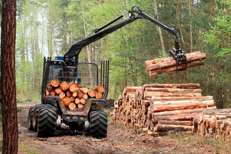 Nowelizacja ustawy o lasach polski podzieliła polski Parlament.