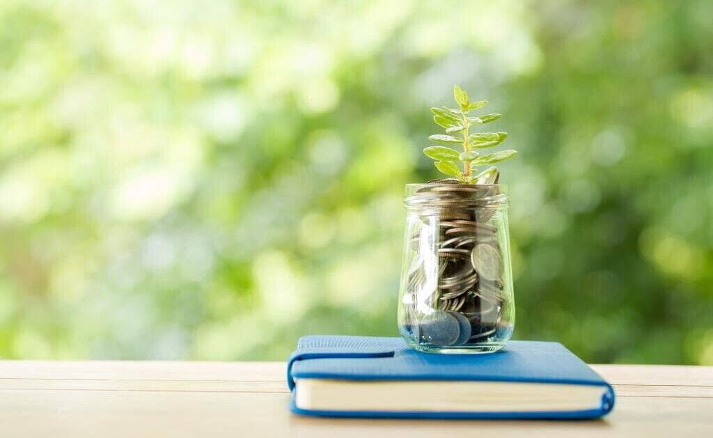 Politycy Suwerennej Polski wiedzieli skąd brać pieniądze - z lasu. Lasy Państwowe stały się ich skarbonką, do której chętnie sięgali.