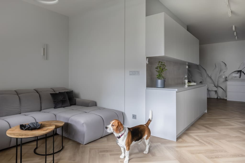 Przestrzeń kuchenna płynnie przechodzi w salon, gdzie projektantka Agnieszka Lesiuk umieściła wygodną narożną sofę obitą aksamitną tkaniną.