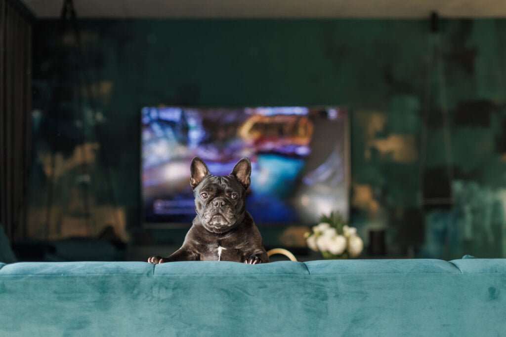 Salon, który zaprojektowała Karolina Janczy.