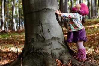 Lasy społeczne spełniają swoją funkcję, umożliwiają zachwyt drzewem.
