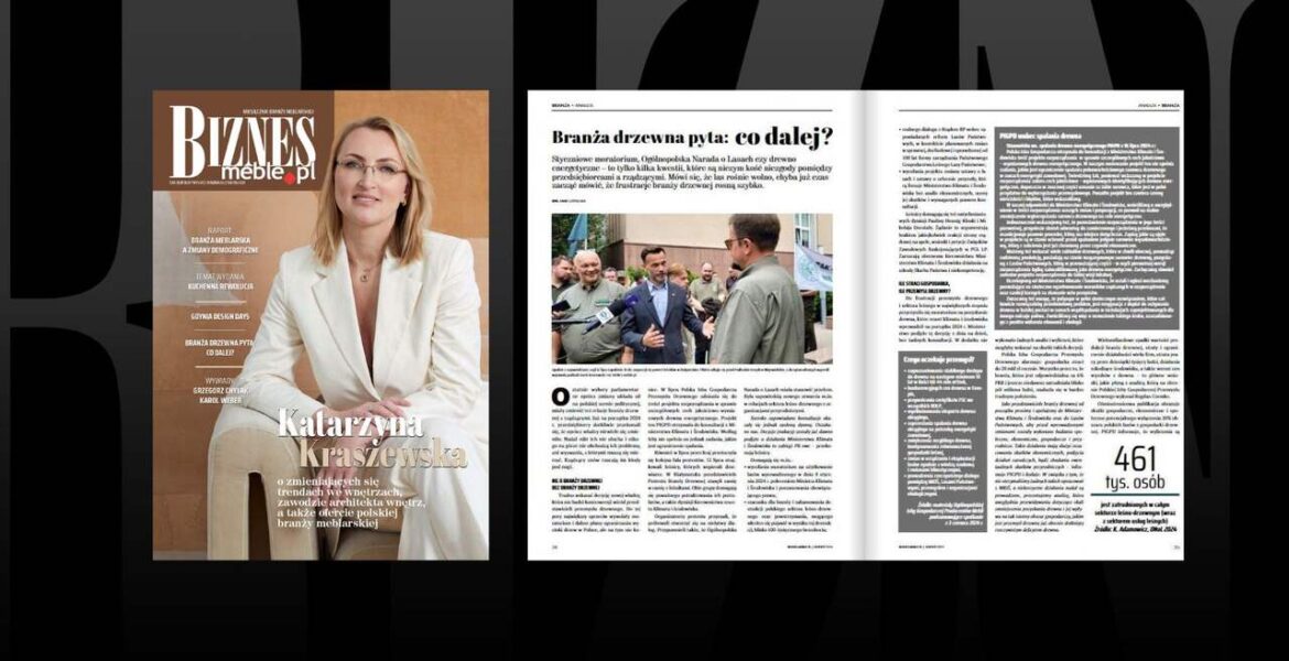 Polska branża meblarska w analizach i artykułach w najnowszym, sierpniowym BIZNES.meble.pl.