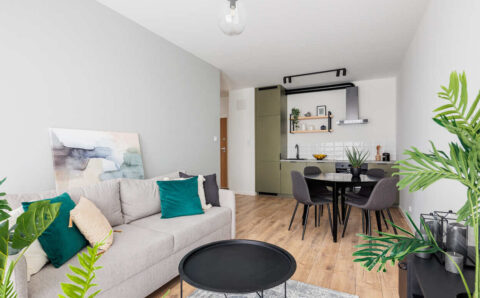 Mieszkanie PRS - projekt Decoroom.