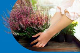 Kwiaty za elektrograty 2024 - jesień - w dniach 19-21 września w Castoramie.