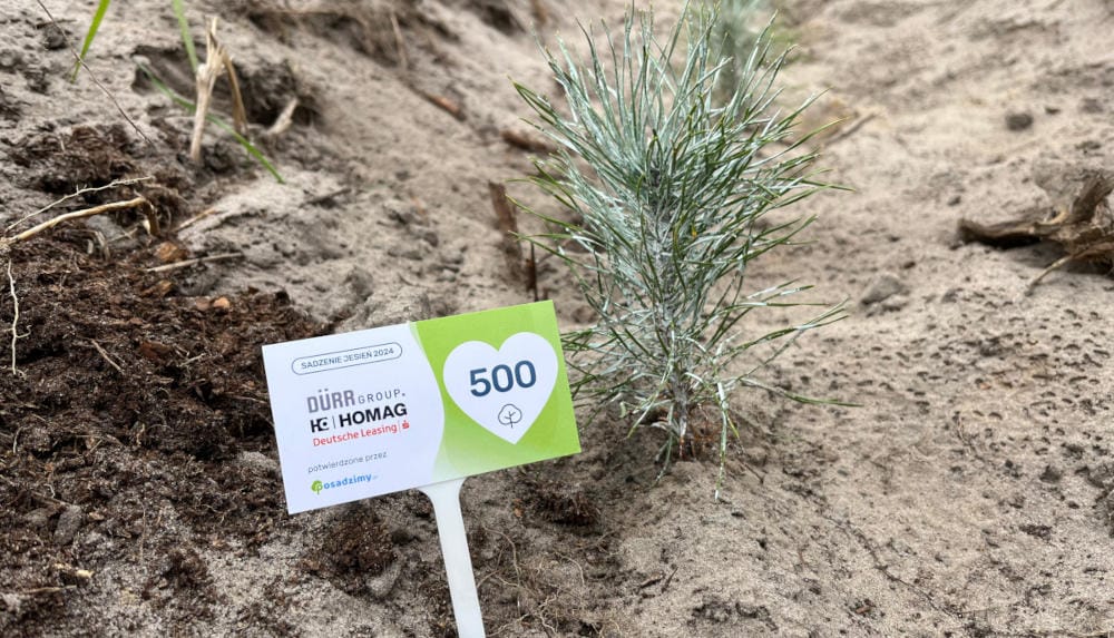 Mała sosenka posadzona z okazji 25lecia HOMAG z tabliczka certyfikującą