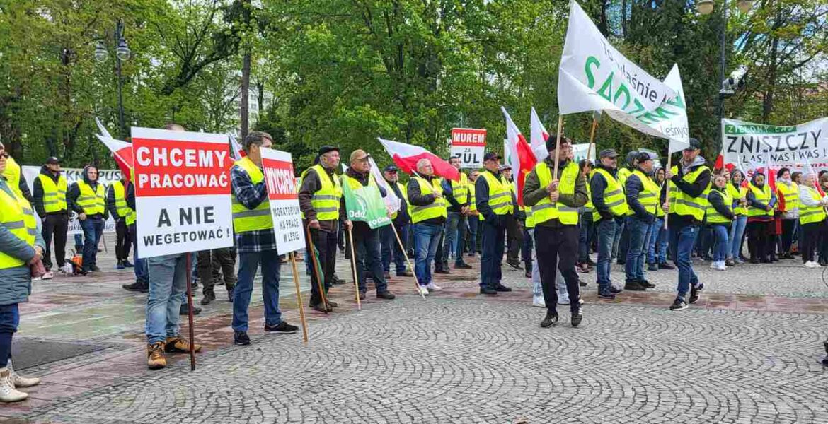 Protest Branży Drzewnej - Białystok - 16 kwietnia - wielokrotnie manifestował sprzeciw wobec moratorium, dzisiaj znane są już wyniki konsultacji społecznych w tej sprawie. Fot. Anna Szypulska.