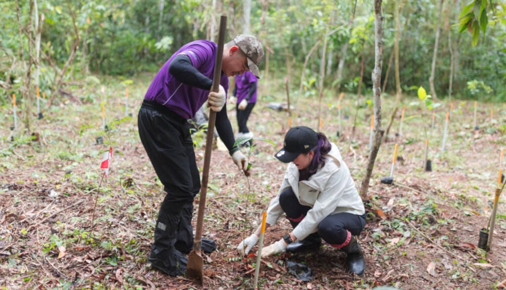 Kelie Lim, Dyrektor Generalny Międzynarodowych Targów Meblowych w Malezji (MIFF) podczas misji sadzenia drzew w Sabah.