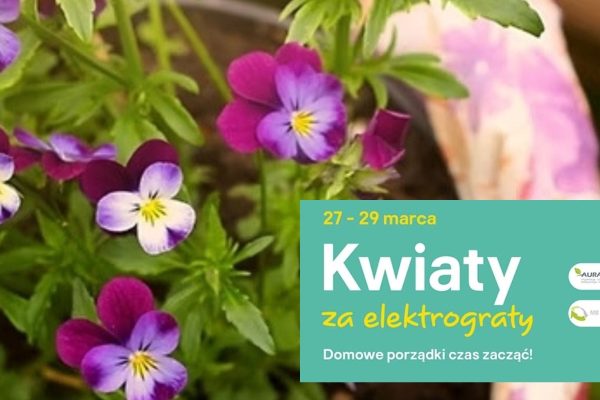 Kwiaty za elektrograty - wiosenna odsłona akcji odbędzie się w dniach 27-29 marca. Organizatorem jest Castorama Polska.