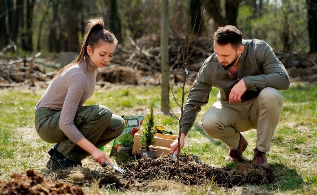 Międzynarodowy Dzień Lasów zainspirował do przeprowadzenia akcji „Lasy na nowe 100-lecie”. Zdjęcie ma charakter ilustracyjny. Fot. Freepik.
