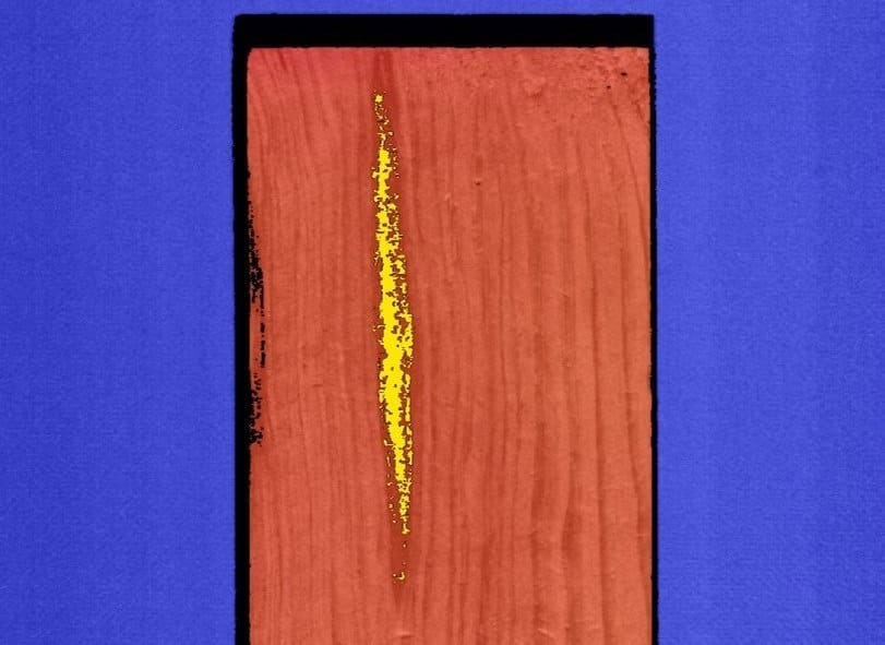 Żółte piksele to obszar, gdzie występuje żywica.