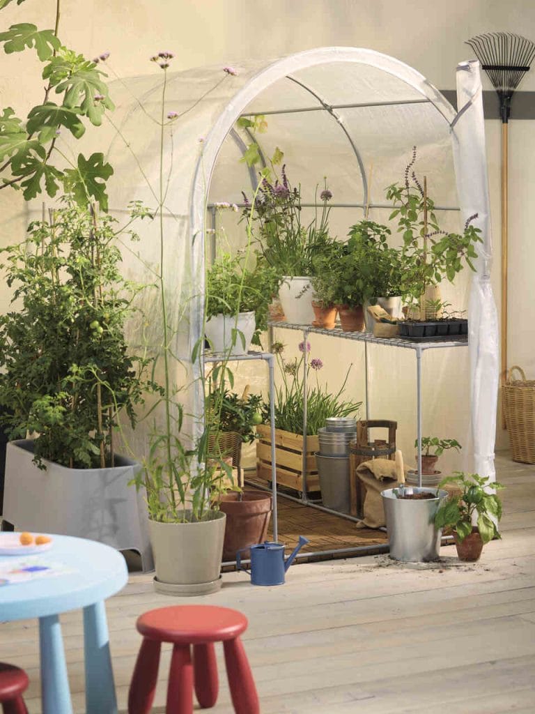 ASPAREN - Miniszklarnia.