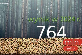 Lasy Państwowe z dodatnim wynikiem finansowym za 2024 rok.