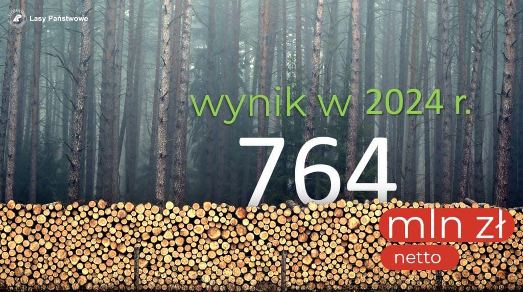 Lasy Państwowe z dodatnim wynikiem finansowym za 2024 rok.