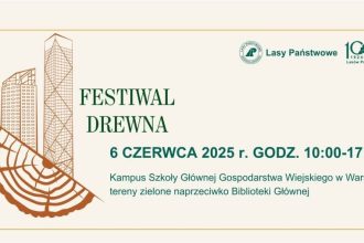 Festiwal Drewna 2025