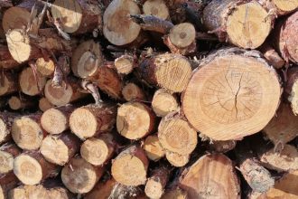 W 2025 roku polska branża drzewna walczy o przetrwanie.