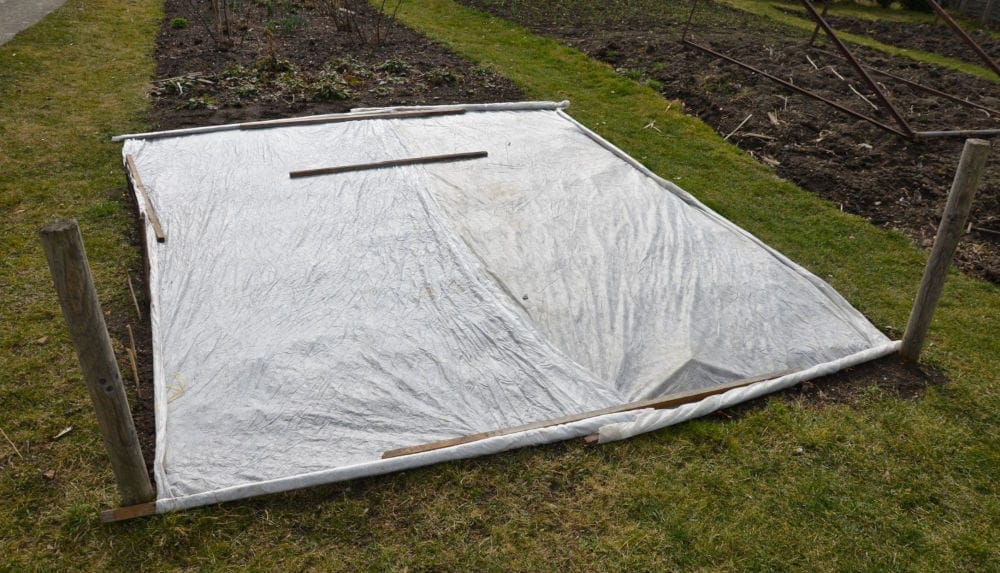 Ogród, rabatka z młodymi wschodzącymi roślinami zabezpieczony białą plandeką przed deszczem.