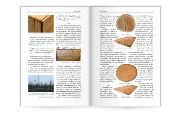 Słownik meblarski. Materiałoznawstwo nie tylko dla profesjonalistów. Rozkład poglądowy str. 58-59